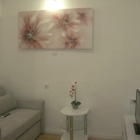 Apartment Ravkin Centar *