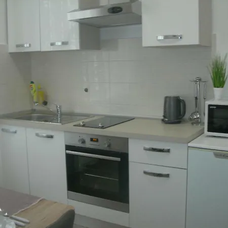 Ravkin Centar Apartment *
