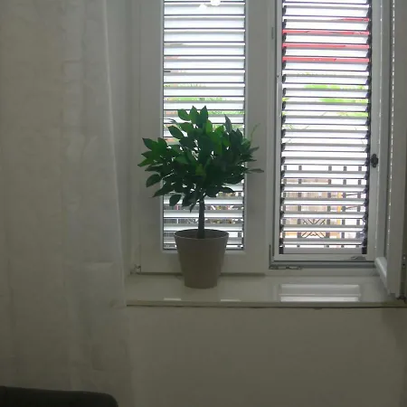 Ravkin Centar Apartment Zadar