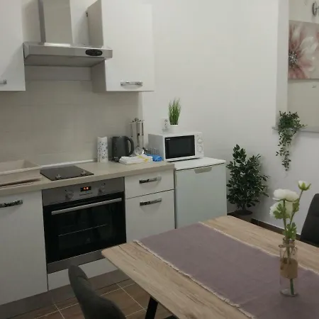 Apartment Ravkin Centar